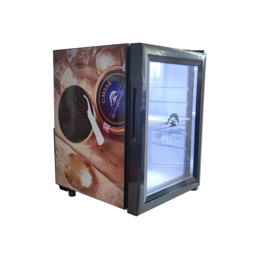 Best Value 21L Mini Upright Store Caviar Refrigerator for Monster Drink Energy Display Showcase