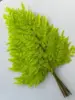 Yellow green