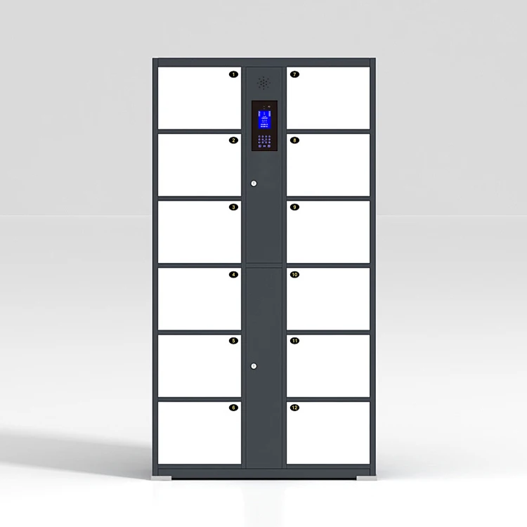 Pop Smart Locker with Face Recognition, Password, and Barcode Access, Integrated Payment Function for Gyms, Malls, Airports