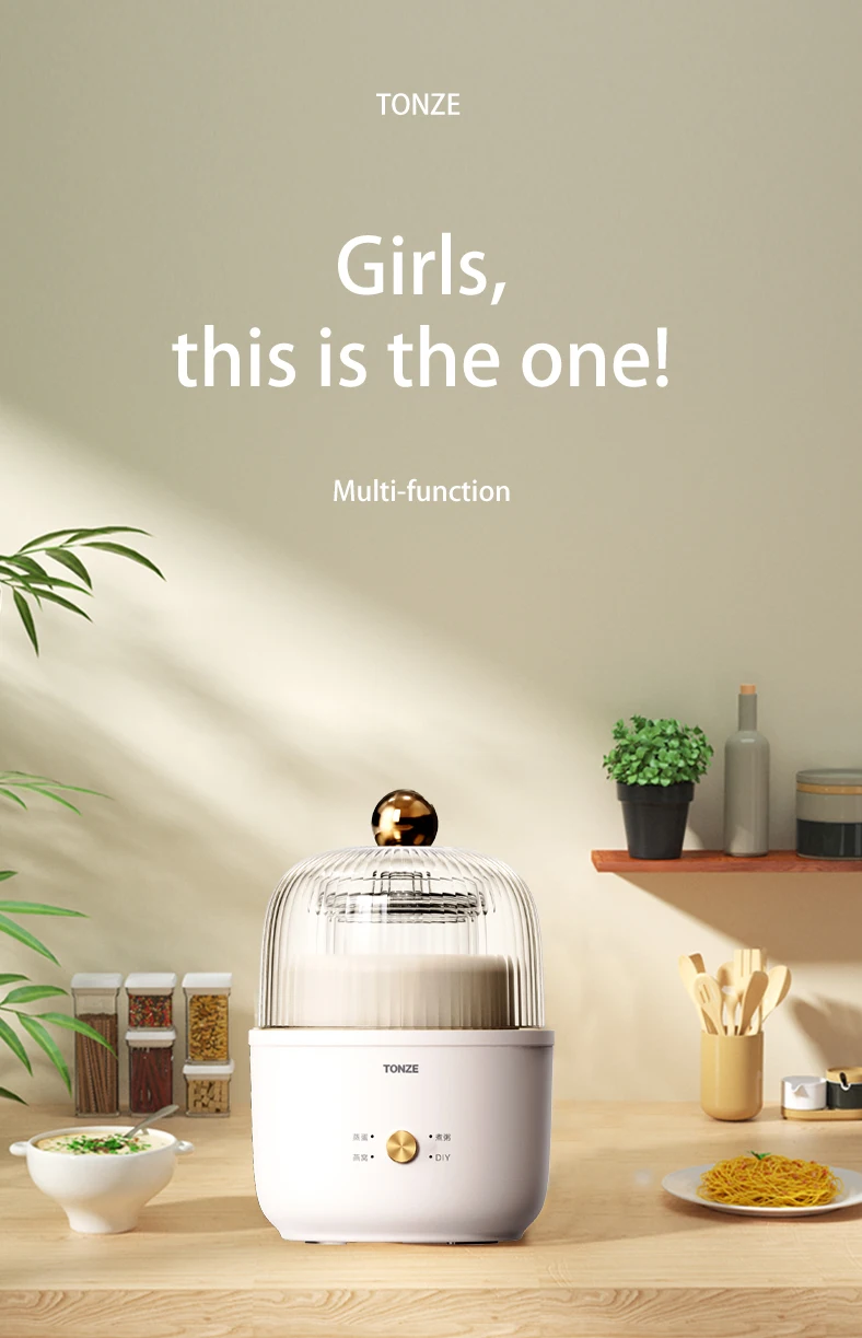 Tonze 2023 New Launching Stew Cup Glass Pot Double Boiler Electric Mini