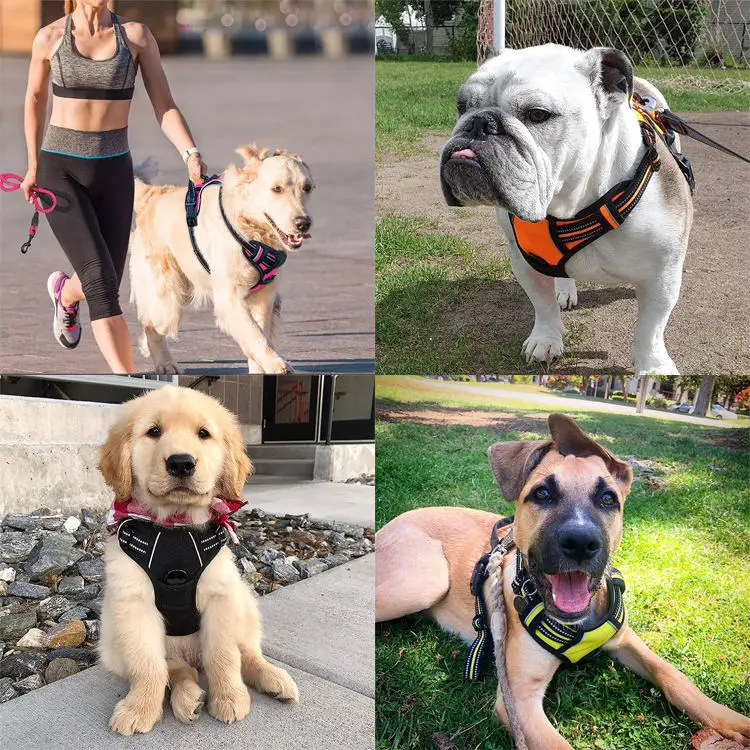 New Neoprene Custom Reflective Tough Adjustable Pet Dog Training Har Set Harness Luxury Leash No Pull Dog Harness