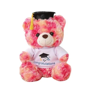 Wholesale Cheap Plush Teddy Bear with Hat and Diploma PP Cotton Filled Graduation Souvenir for Students