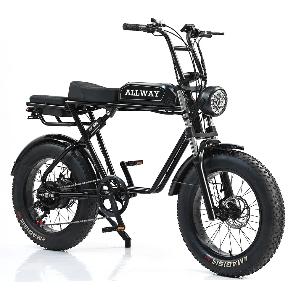 Customizable Appearance Super 73 Electric Bike 1000w 48v High Speed 