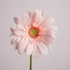 02-Light Pink