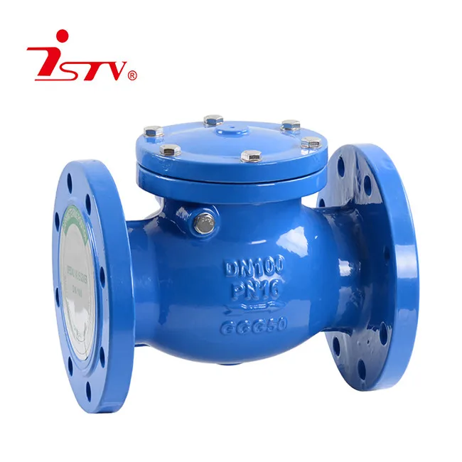 BS5153 Swing Check Valve