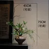 Simulación de lluvia con flores cayendo, piedra decorativa, ficus verde para plantar.