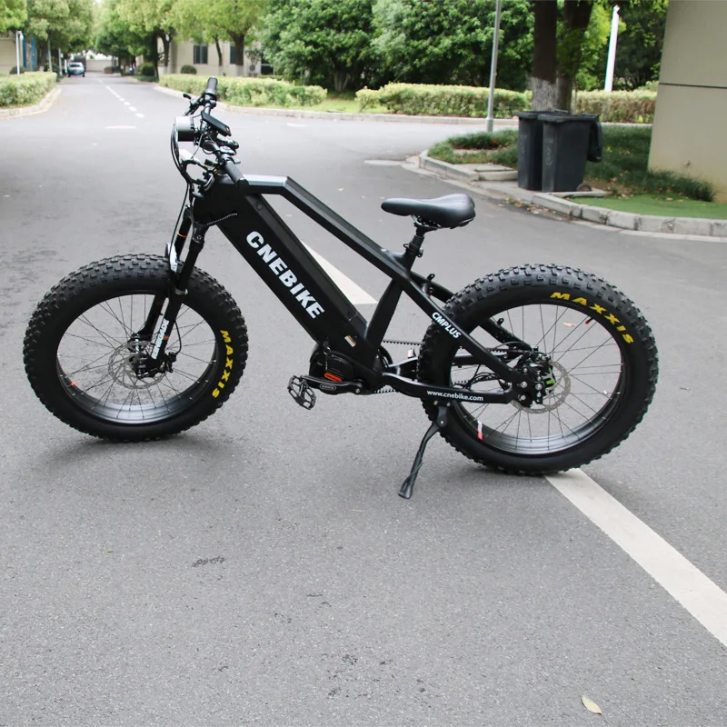 Rohloff 14 Speed Hub Belt Driving Electric Fat Bike Big Capacity 30ah Li Battery E Bicycle With Bafang M620 MID Drive System