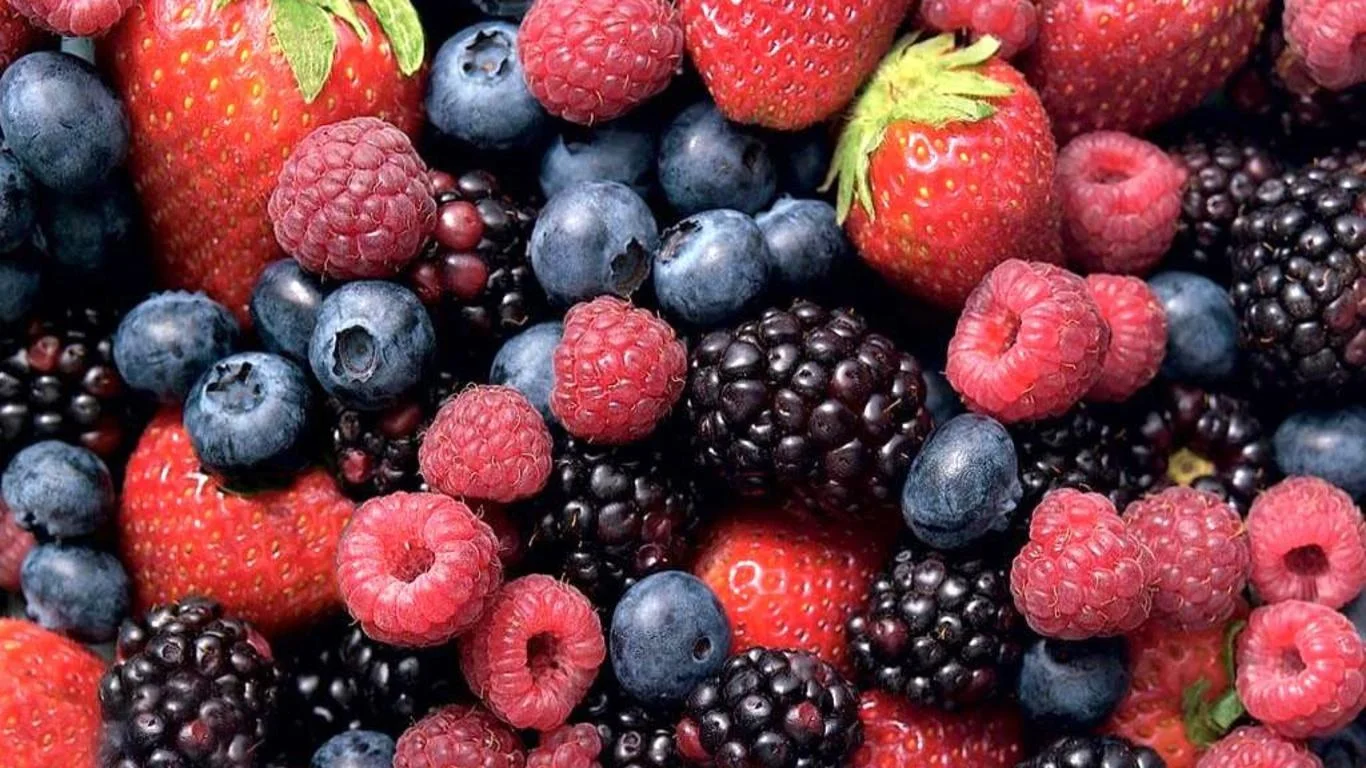 Freeze Dried Blackberry Wholesale | Bulk Blackberry Supplier H2247bdfda77648c4bdc3d429f8591590B