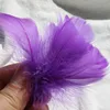 colorful Deep Purple