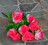 Rose madder
