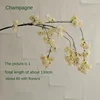 Champagne