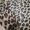 Leopardo
