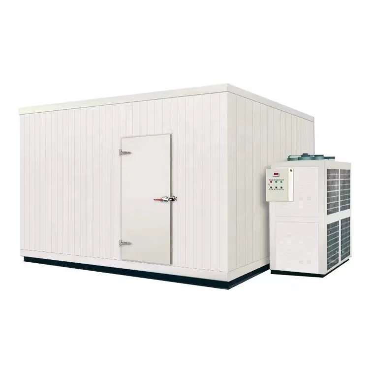Stable Climate Control Cold Room for Chocolate Confectionery Storage Featuring Solar Copeland Compressor Gear Bearing Core