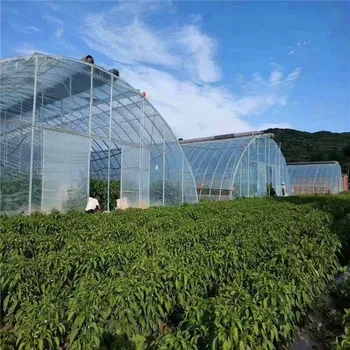 Hot Sale Factory Agricultural Intelligent Film Single-span Tunnel Greenhouse Structure For Flowers Plant