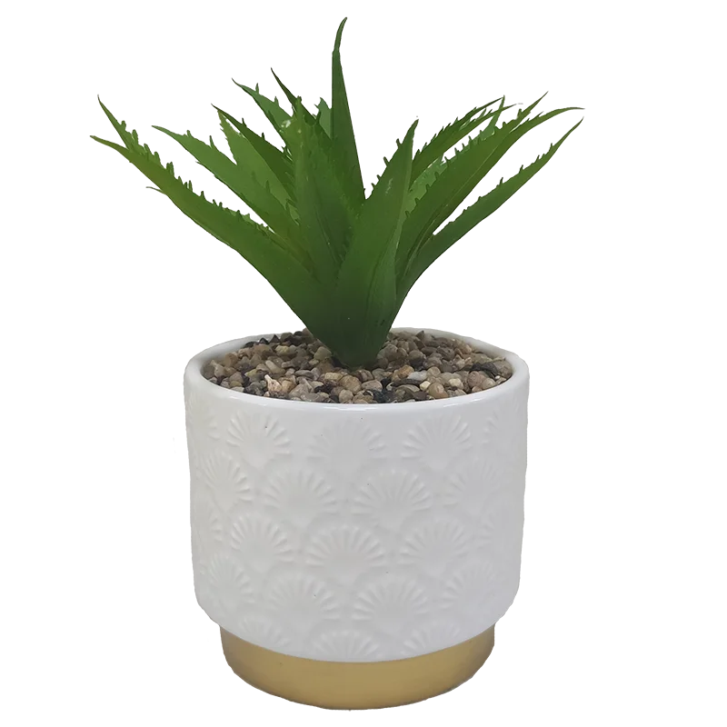 Ceramic Succulent Pot Ceramic Flower Pot Flower Pot Decorations Golden White Used With Artificial Flower Glazed Modern Button Buy Succulent Pot Ceramic Flower Pot Flower Pot Decorations Product On Alibaba Com