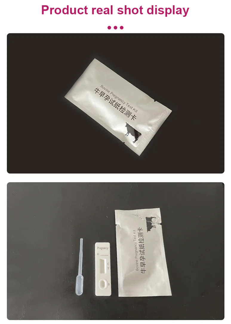 High Accuracy Cow Pregnancy Test Strip Kit Pregnancy Test Cows Animal