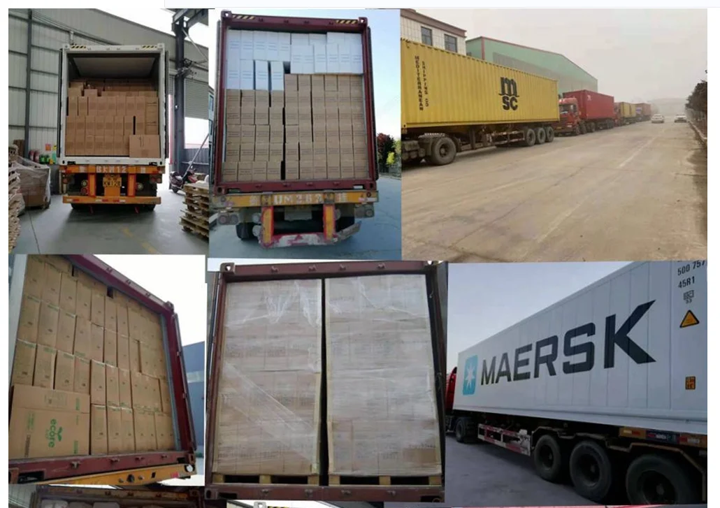 PLA Pallet Transparent Heat Shrink Wrap Stretch Film Biodegradable Wrapping Plastic Film