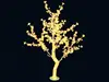 giallo 2