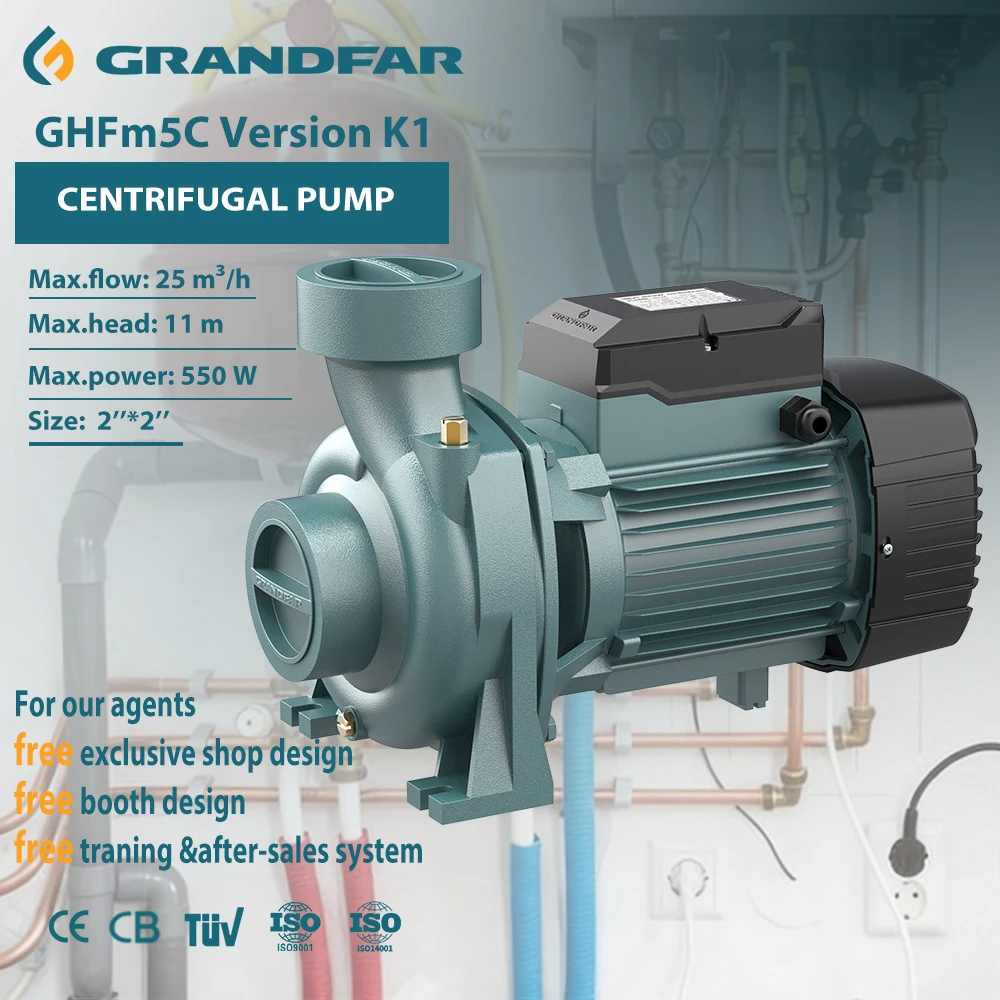 GRANDFAR 550W 11M Max Head OEM Industrijska teška navodnjavanje Visok pritisak Električna centrifužna vodena pumpa