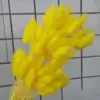 Giallo