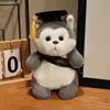 Husky with Graduation Sash