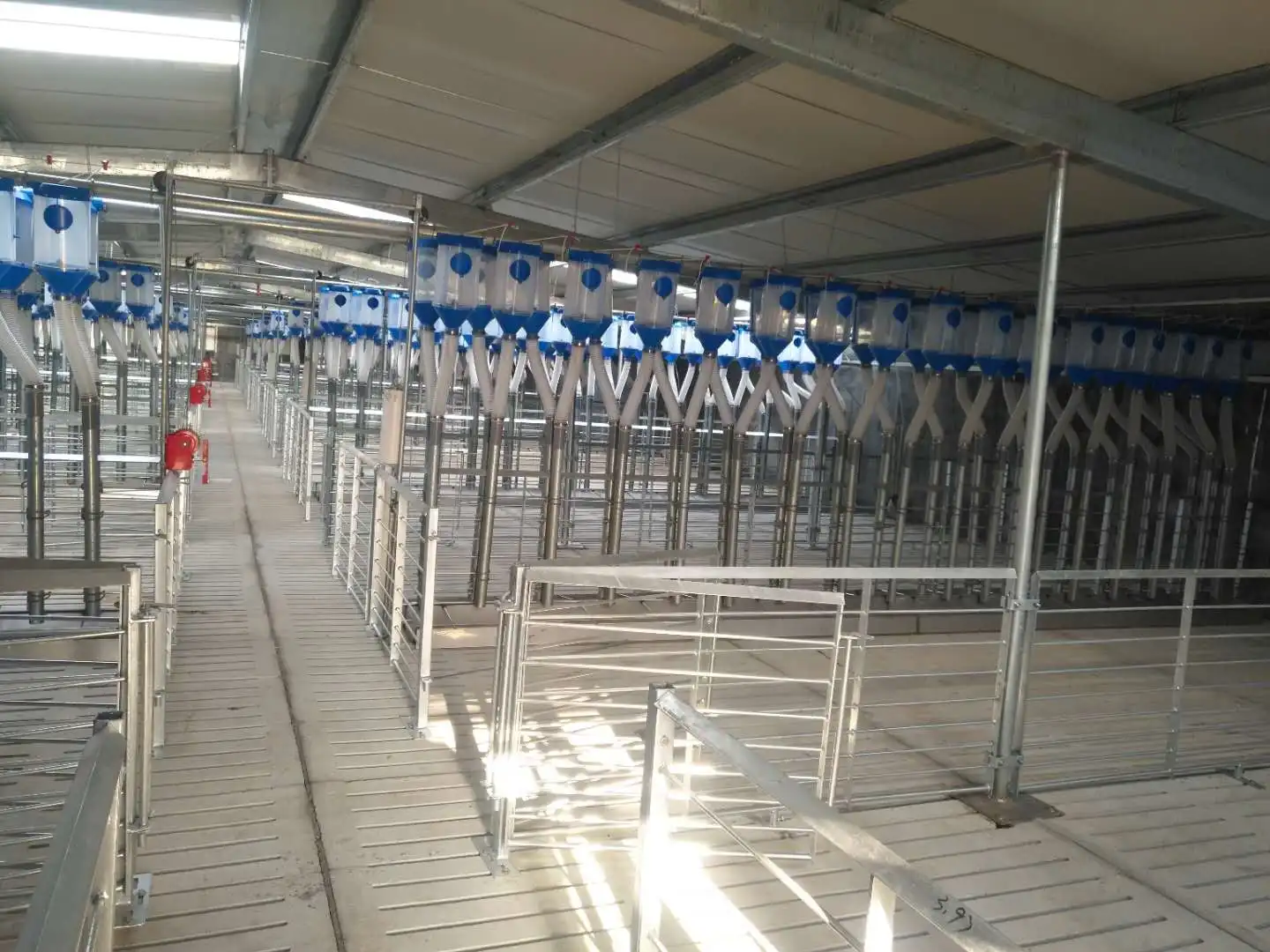Animal Cages pig fatten cage pig fattening cages finishing Crate Wean To Finish Stalls For Pigs