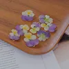 Viola