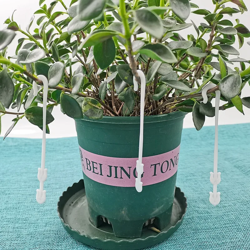 Spot horticultural tomato hook anti drop hook planting fruit and vegetables spike plastic hook manufacturers manufacture