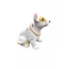 Terrier à tête de taureau