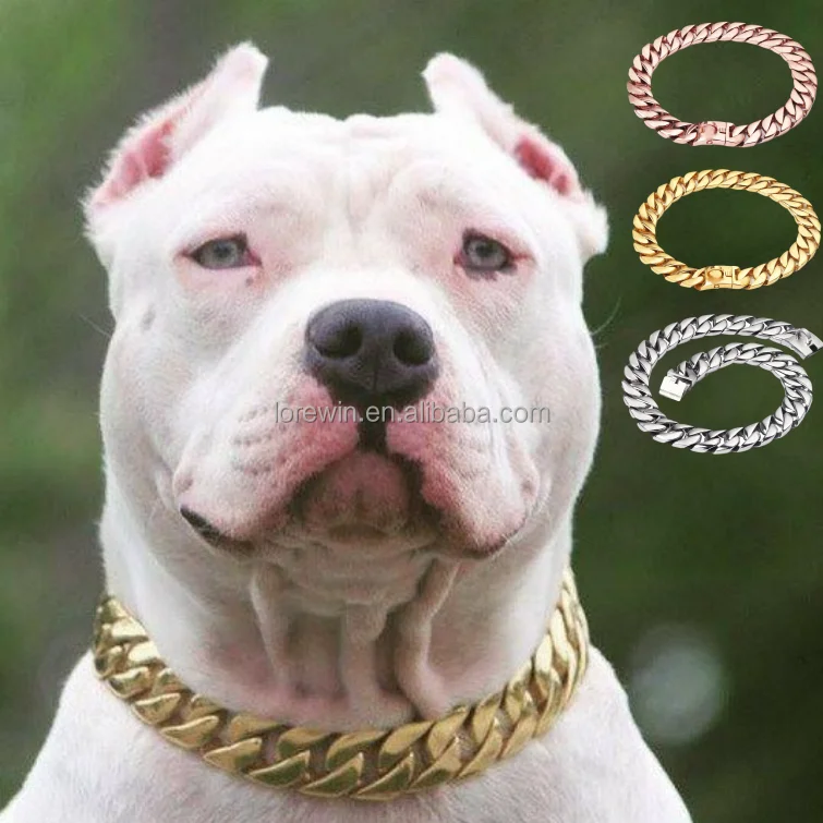 Persistencia Salida espacio Wholesale Necklace For Dogs Engraved American Bully Metal Pitbull Collars  43Mm Large Collar Dog Chain From m.alibaba.com
