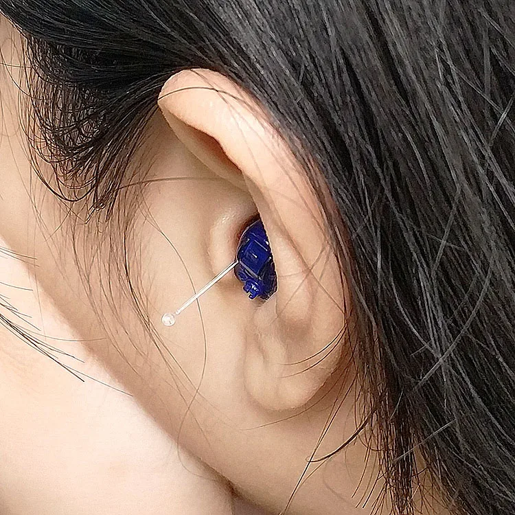 Digital Invisible CIC Outdoor Hunting Hearing Aids
