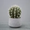 Verde#2