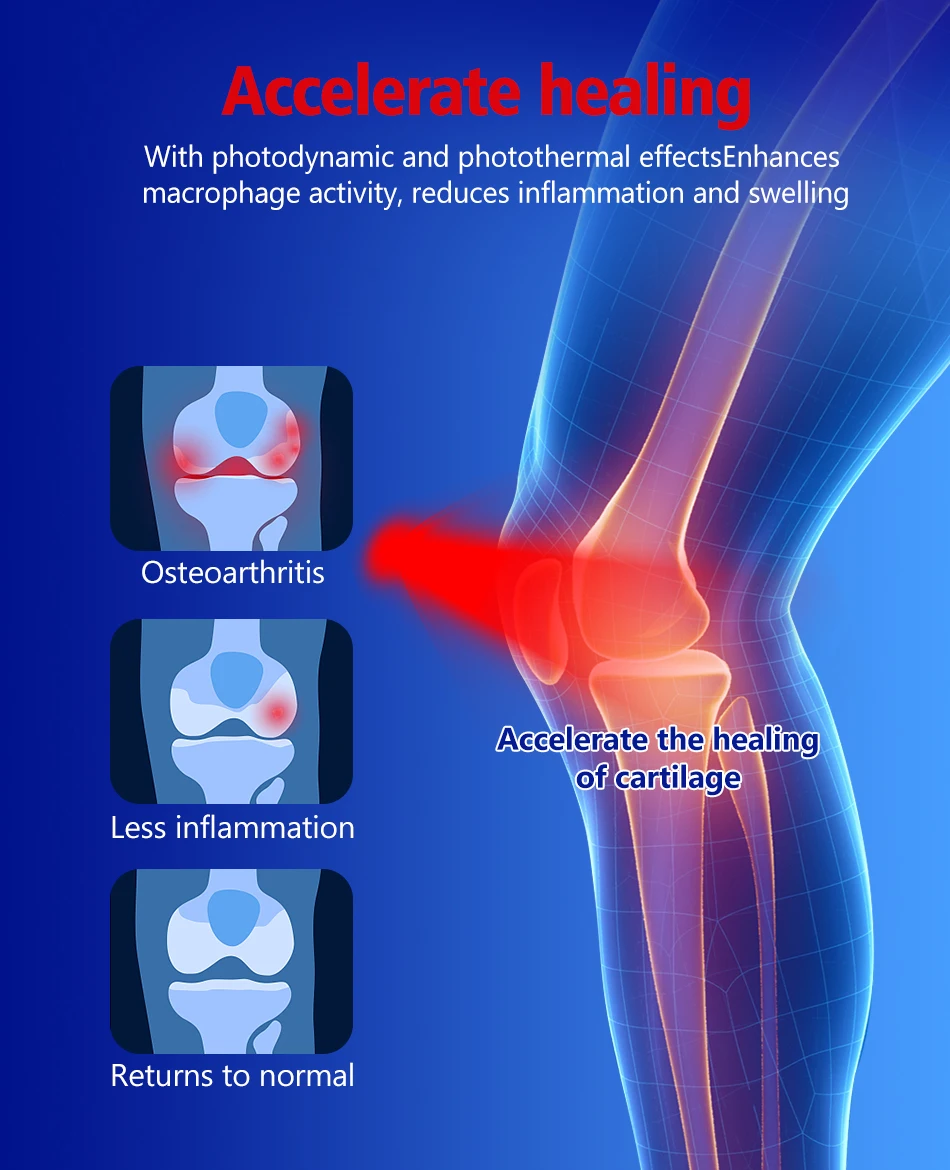 OEM Med Spa Whole Body Contouring 635nm 660nm 810nm 850nm Red Light Capsule Infrared LED Red Light Therapy Bed