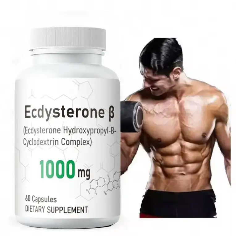 OEM Private label Supplements Turkesterone Supplement 500mg Ajuga Turkesterone Capsules Increase Muscle Mass Help Body Build