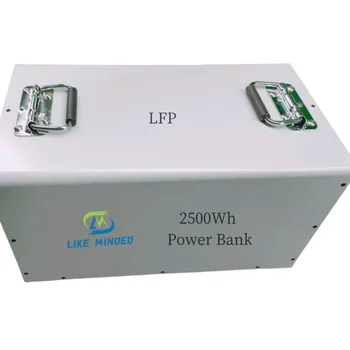 Lifepo4 Lithium Ion Battery Portable Power Bank 12V/24V  100ah for RV Back up power station