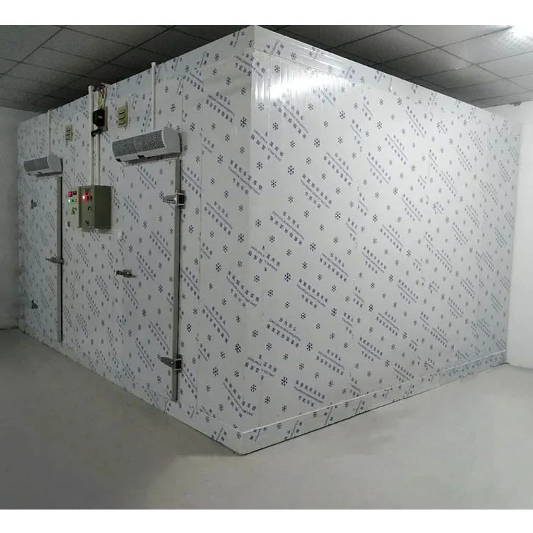 Medium Small Large Size Cold Storage Room Freezer Cool Room Freezing Refrigeration Equipment for Fish Food Meat