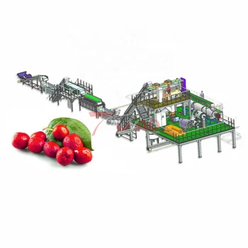 Automatic Apple And Pear Processing Line Fruit Processing line and Vegetable Processing Production Line