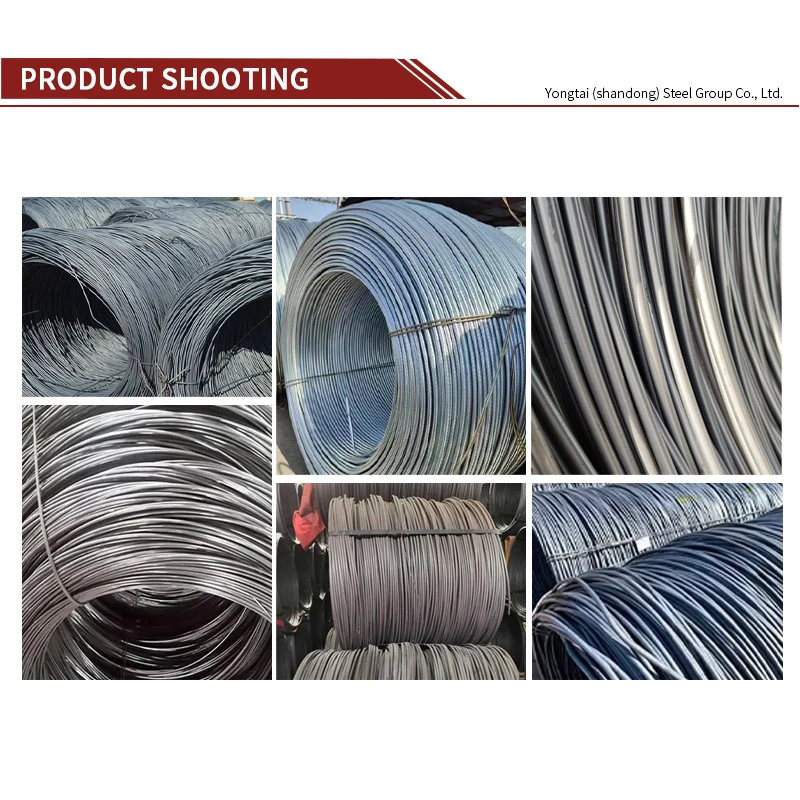 Straight From the Manufacturer, Resilient and Premium Steel Wire Rod for Nails, Screws