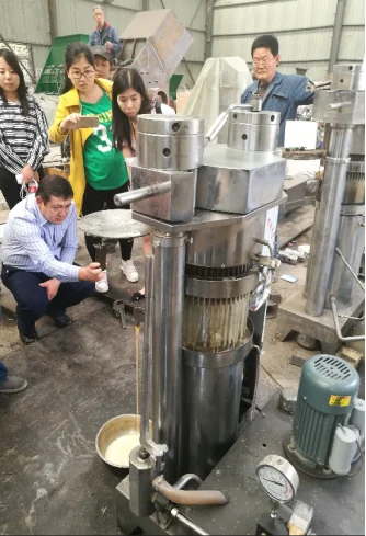 CE Approve Cold Oil Press Machine Avocado Processing Equipment Hydraulic Olive Moringa Seeds Oil Extraction Press Machine Price