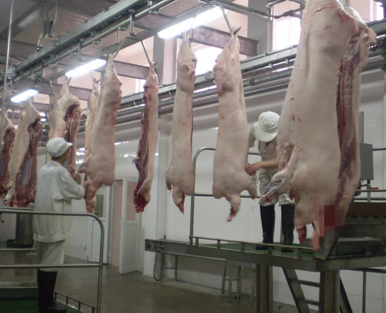 Complete pig slaughterhouse equipment, suitable for pork slaughterhouses and meat processing plants