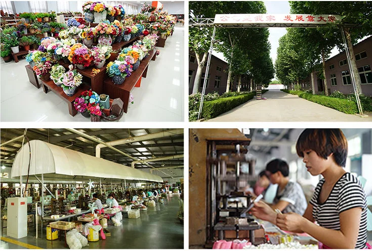 Henan Yongnuo Trading Co., Ltd. 2