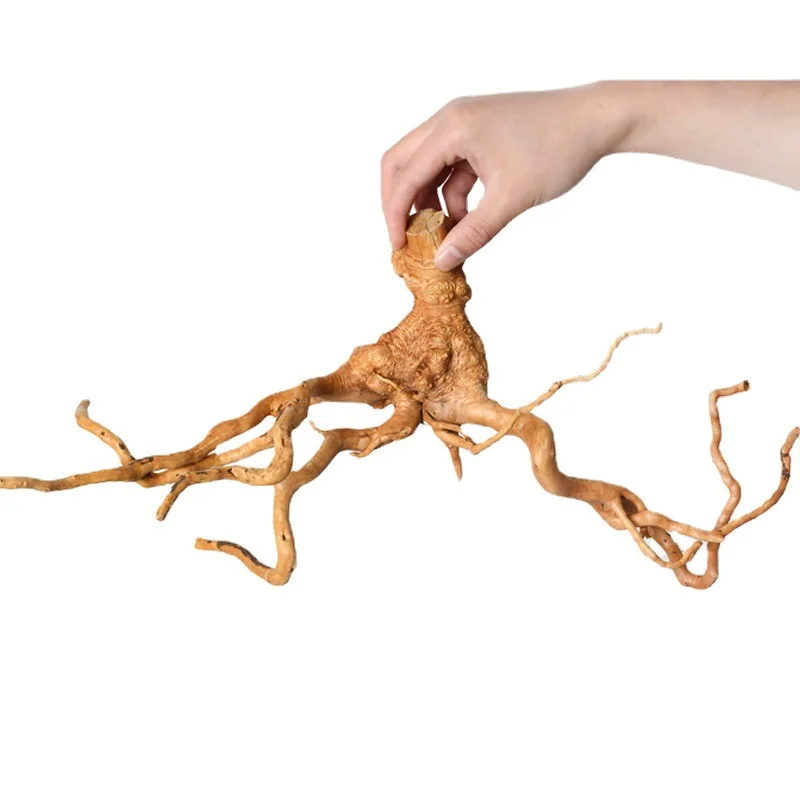 Factory Price Wood Root Natural Spider Wood Aquarium Azalea Wood