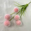 สีชมพูเนื้อ