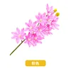 10 orquídeas Cymbidium, rosa