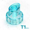 T1
