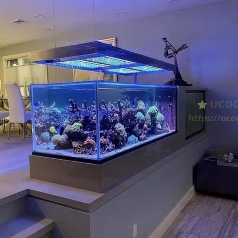 Custom Big Fish Tanks 300 Gallon 200 Gallon Large Aquarium 30 to - Technical View