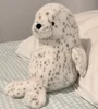 Spotted seal