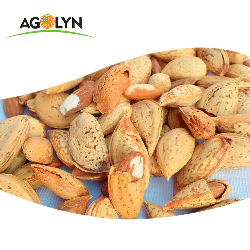 Agolyn卸売殻付きドライフルーツアーモンドナッツ Buy ドライフルーツアーモンド ドライフルーツアーモンドナッツ 殻ドライフルーツアーモンドナッツ Product On Alibaba Com
