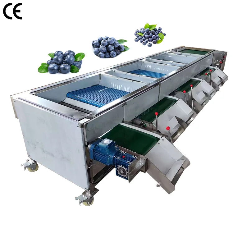 blueberry sorting machine