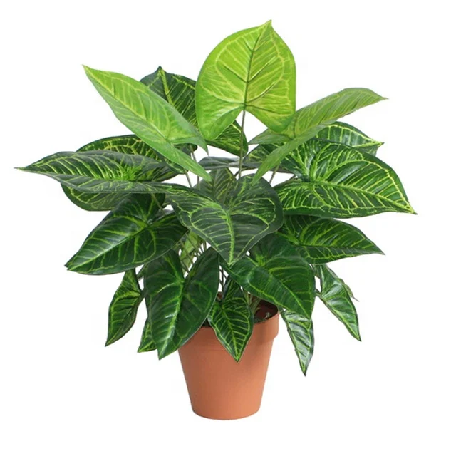 Hsc高品质畅销产品人造植物45厘米dieffenbachia 用于花园或家庭装饰 Buy 家居装饰 45厘米花叶万年青盆栽 花叶万年青叶锅product On Alibaba Com